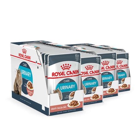 ROYAL CANIN Care Urinary Gravy Adult Cat Food Pouch 85g x 48